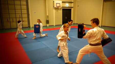 Karate in Assendelft 